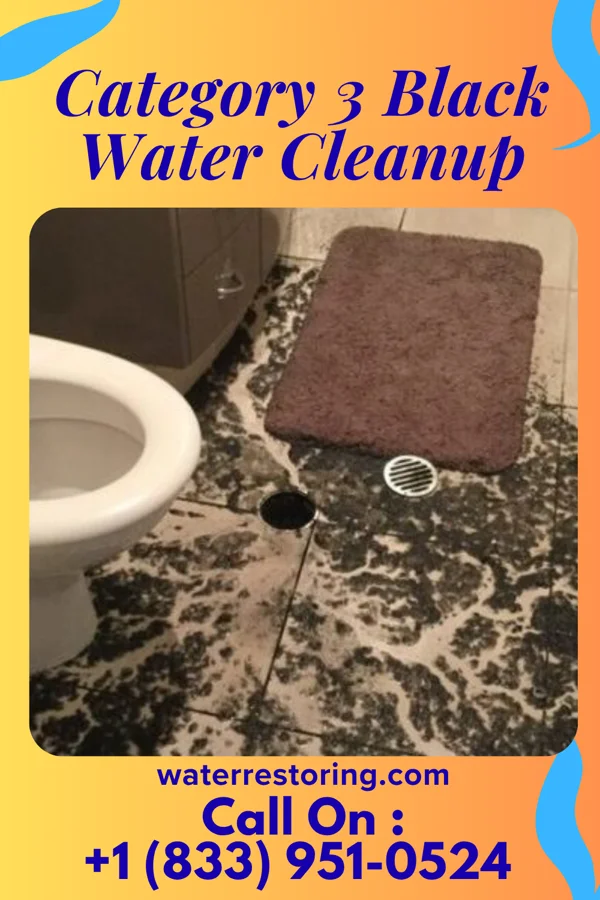 Category 3 Black Water Cleanup in Hurstbourne, KY