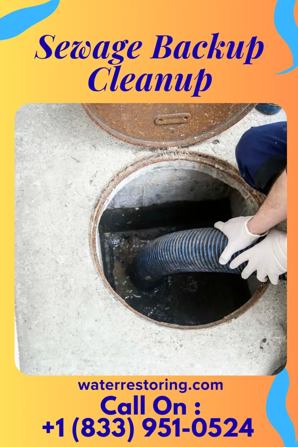 Sewage Backup Cleanup in Hurstbourne, KY