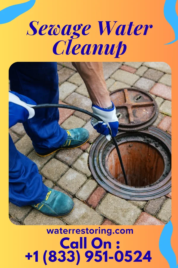 Sewage Water Cleanup in Hurstbourne, KY